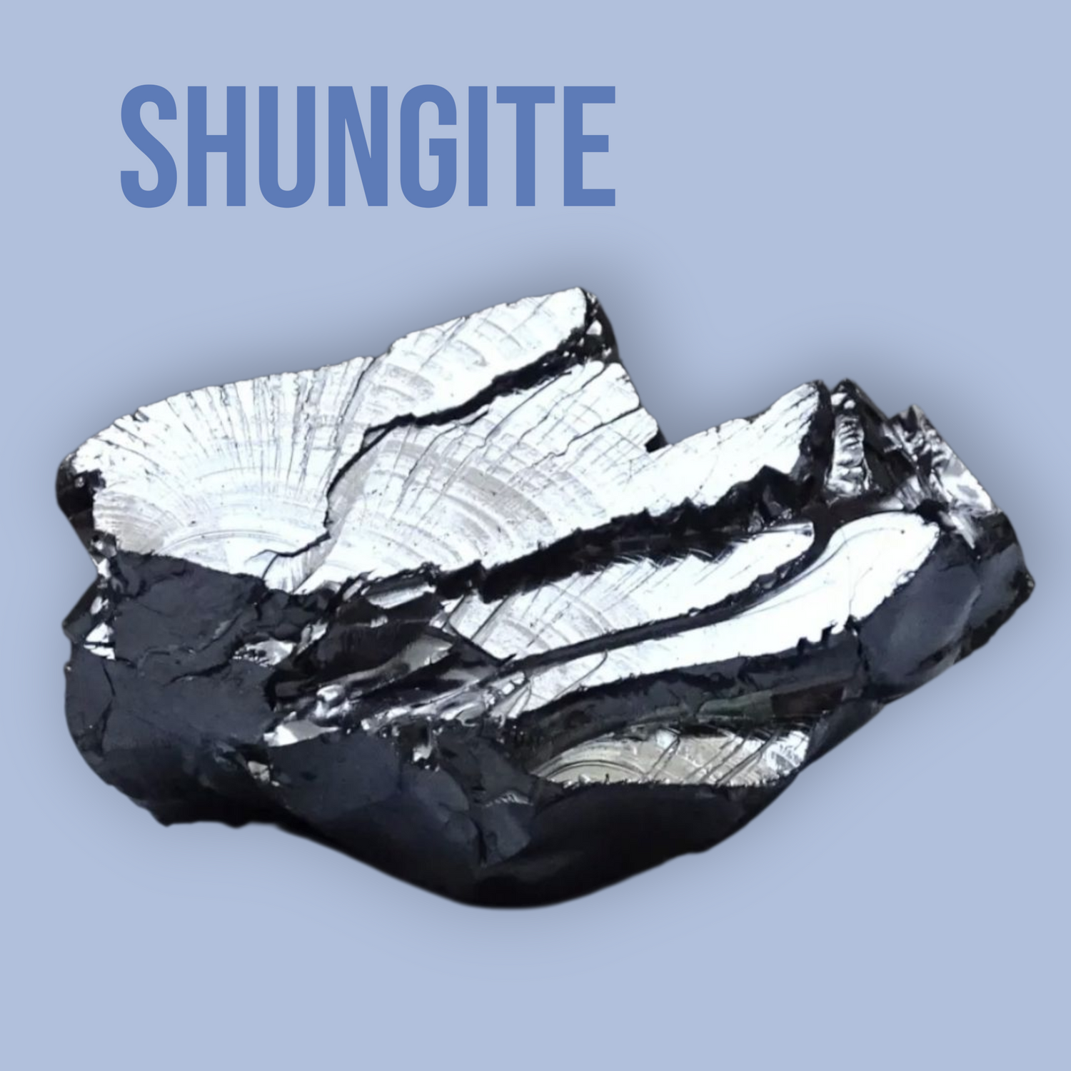 Shungite